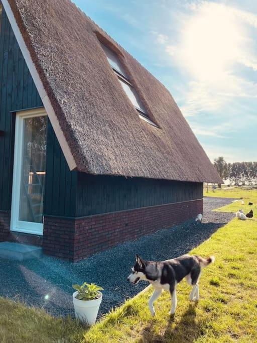 Cozy Appartment On The Farm Loenen aan de Vecht Exterior photo