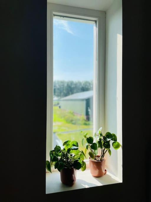 Cozy Appartment On The Farm Loenen aan de Vecht Exterior photo
